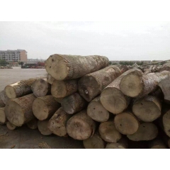 Good Quality Cheap Price European Ash Wood Logs wholesale