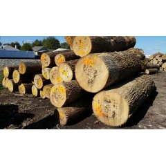 Steady supply of US imports of Pennsylvania, New York, Ash logs 2SC20% 80% 3SC 12 inch UP wholesale