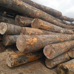 Kingwaywood import European beech hardwood import log saw wood AB class furniture plate wholesale