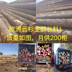 Kingwaywood industry the latest import of European spruce log  solid wood board for 200 containers of wood wholesale