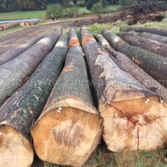 kingwaywood imported European ash timber hardwood wood boreal wood wholesale raw materials ABC wholesale