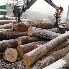 kingwaywood imports European wood ash wood ash log solid wood furniture material lumber board wholesale