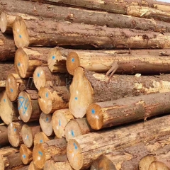 Spruce wood imported from kingwaywood industry solid wood timber European spruce ABC grade wholesale