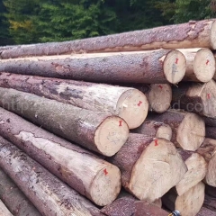 kingwaywood industry European wood imports Germany spruce log solid wood spruce wood wholesale