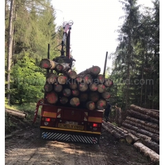 kingwaywood industry spruce imports European spruce log solid wood Germany spruce fir 50000 square source of supply wholesale