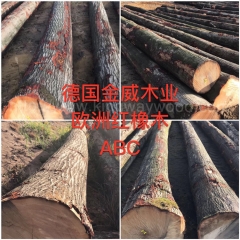 kingwaywood industry European materials European red oak red oak log wood imports wood raw materials wholesale wholesale