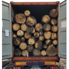 kingwaywood industry imports wood European spruce logs wood spruce spruce Czech spruce European timber wholesale