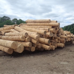 kingwaywood industry American logs red oak cherry ash wood imports American wood wholesale