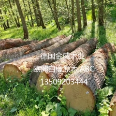 Kingwaywood imports ABC furniture European oak wood timber logs white oak solid oak wholesale
