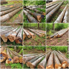 Kingwaywood Industry Beech Logs Solid Wood Imported Plank Wood Raw Material Wholesale Factory Germany European Beech Beech wholesale