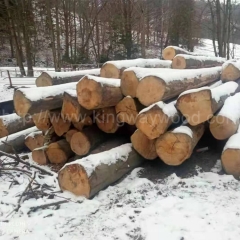 Beech log solid wood imported beech wood European beech wood household materials ABC raw materials kingway wood industry wholesale