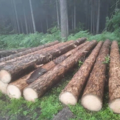 German spruce imported wood