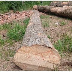 ash log