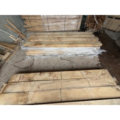 European white oak