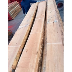 beech lumber